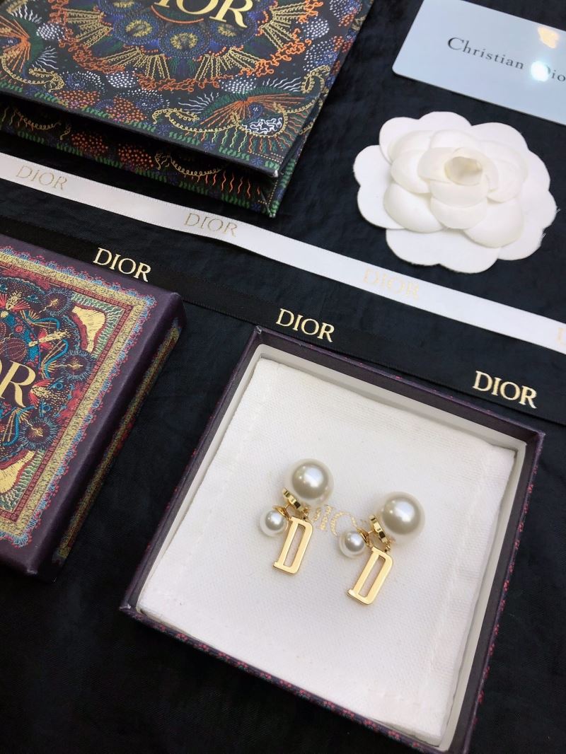 Christian Dior Earrings